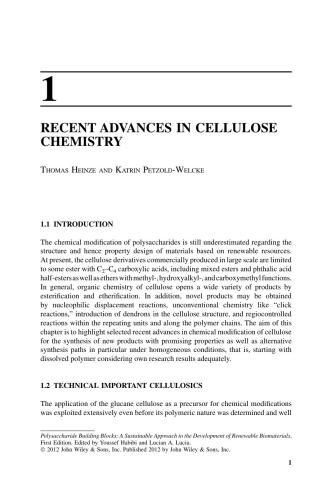 Polysaccharide Building Blocks: A Sustainable Approach to the Development of Renewable Biomaterials