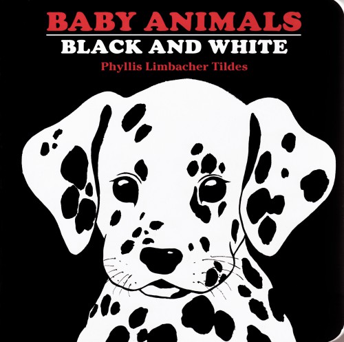 Baby Animals - Black and White 