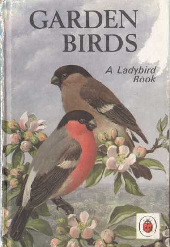 Garden Birds