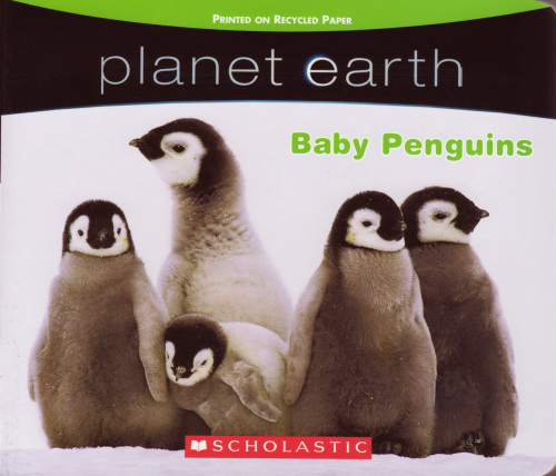 Planet earth Baby Penguins 