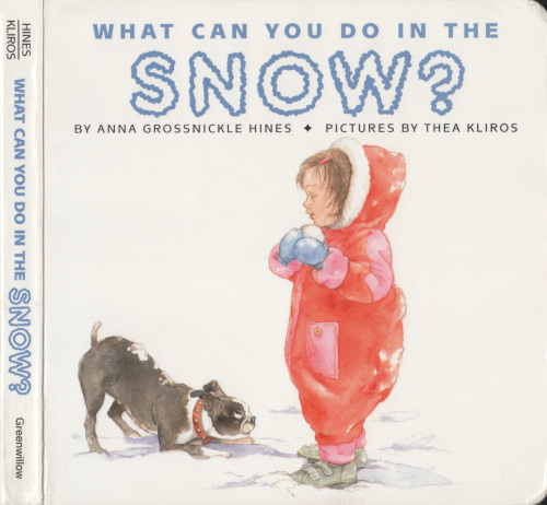 What can you do in the snow 
