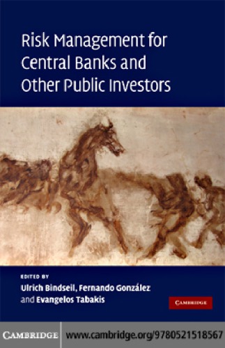 Risk management for central banks and other public investors