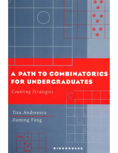 A Path to Combinatorics for Undergraduates: Counting Strategies
