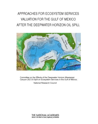 Approaches for Ecosystem Services Valuation for the Gulf of Mexico After the Deepwater Horizon Oil Spill: Interim Report (2011)