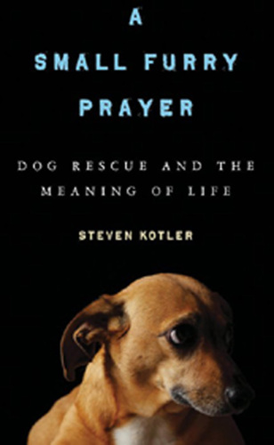A Small Furry Prayer: Dog Rescue and the Meaning of Life