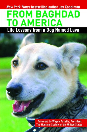 From Baghdad to America: Life Lessons from a Dog Named Lava