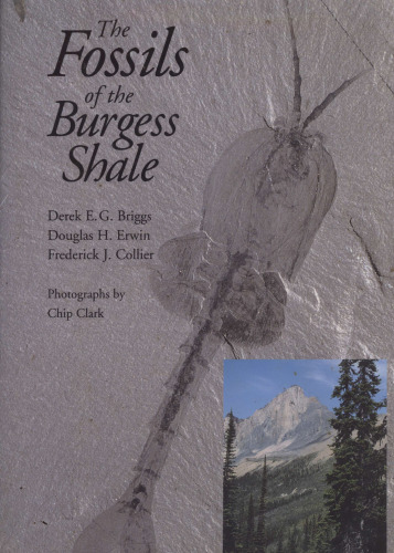 The Fossils of the Burgess Shale