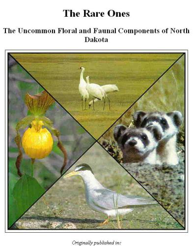 The rare ones The Uncommon Floral and Faunal Components of North Dakota