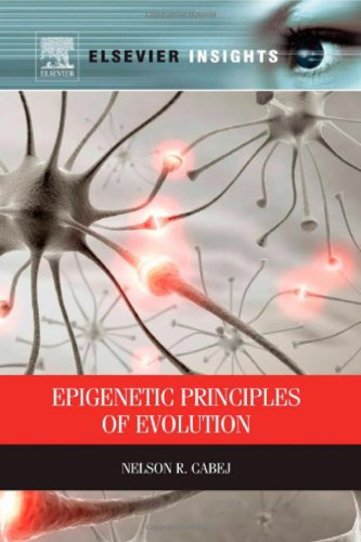 Epigenetic principles of evolution