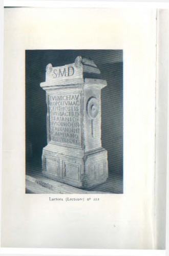 The Taurobolium: Its Evolution and Terminology