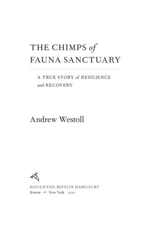 The Chimps of Fauna Sanctuary: A True Story of Resilience and Recovery