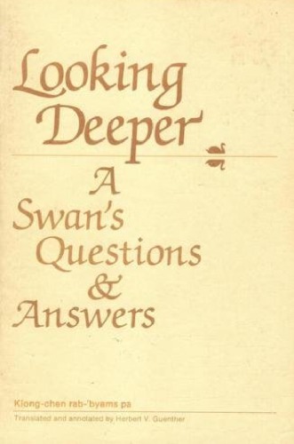 Looking Deeper: A Swan's Questions and Answers