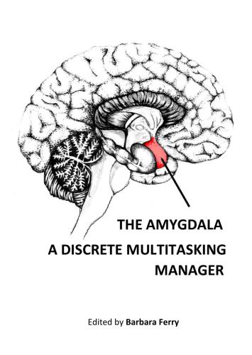 The Amygdala - A Discrete Multitasking Manager