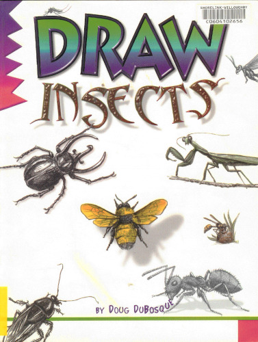 Draw Insects
