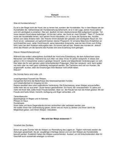 Hunde richtig Erziehen, Tipps und Tricks