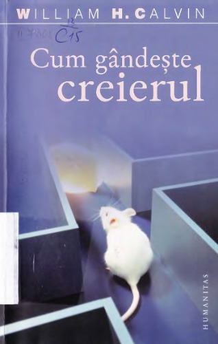 Cum gandeste creierul