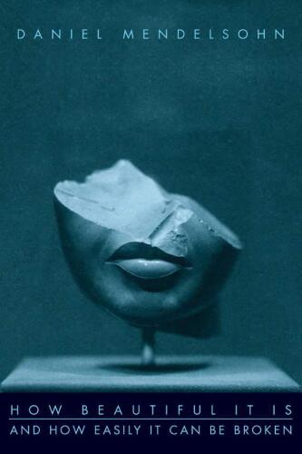 How Beautiful It Is And How Easily It Can Be Broken: Essays