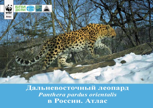 Дальневосточный леопард (Panthera pardus orientalis) в России. Атлас