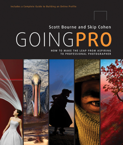 Going pro: How to make the leap from aspiring to professional photographer
