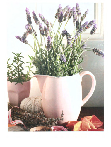 The complete illustrated book to herbs: growing, health and beauty, cooking, crafts