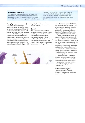 Dermatology - An Illus. Colour Text