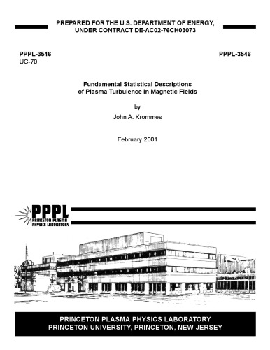 Fund Stat Descriptions of Plasma Turbulence in Magnetic Fields