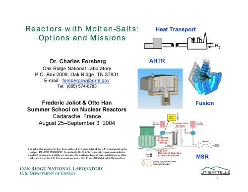 Reactors with Molten Salts - Options and Missions [pres. slides]