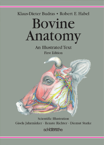 Bovine anatomy : an illustrated text
