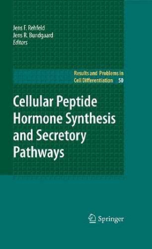 Cellular peptide hormone synthesis and secretory pathways