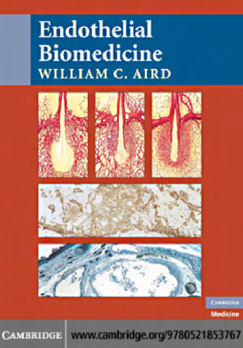 Endothelial biomedicine