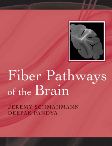 Fiber pathways of the brain