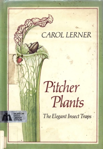 Pitcher plants : the elegant insect traps