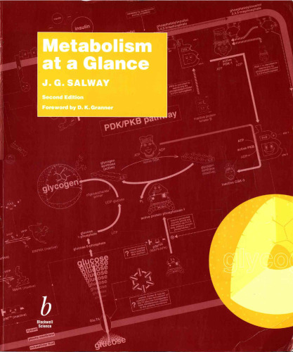 Metabolism at a glance