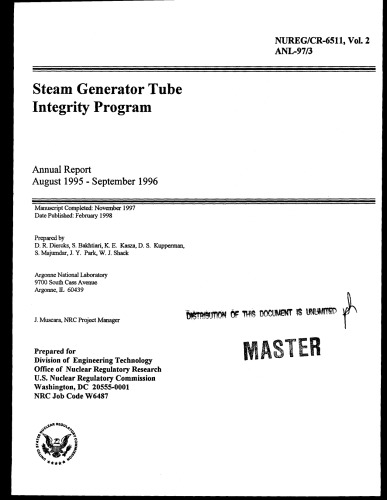 Steam generator tube integrity program