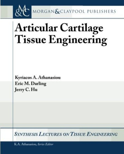 Articular cartilage tissue engineering
