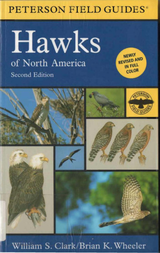 A field guide to hawks, North America