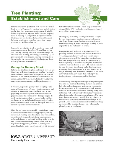 Tree planting : establishment and care
