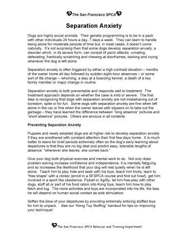 Separation anxiety