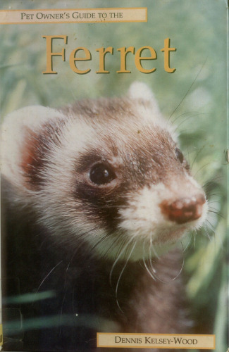 The ferret