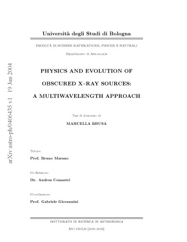Physics and evolution of obscured X-ray sources: a multiwavelength approach