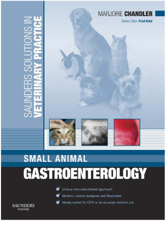 Small animal gastroenterology
