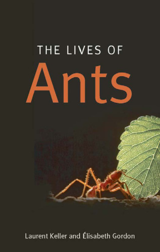 The lives of ants