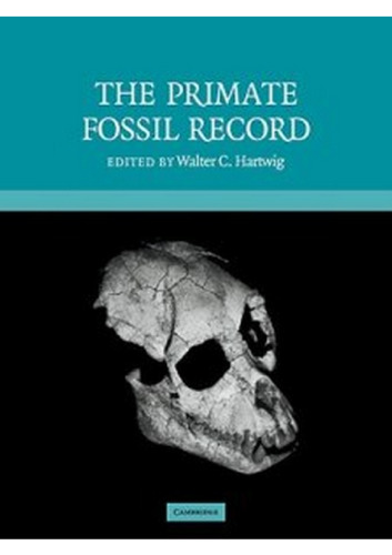 The primate fossil record