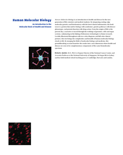 Human molecular biology : an introduction to the molecular basis of health and disease