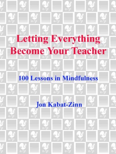 Letting everything become your teacher: 100 lessons in mindfulness