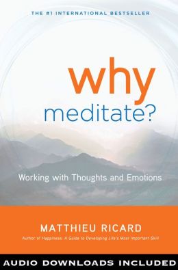 Why Meditate: Working With Thoughts and Emotions
