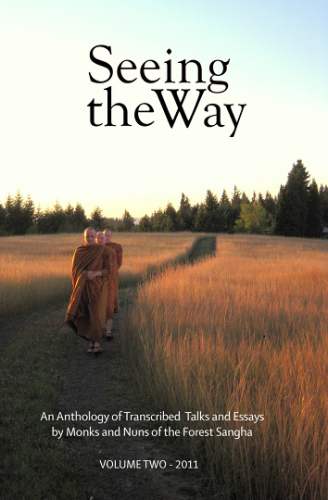 Seeing the Way Vol 2 - Buddhist Reflections on the Spiritual Life