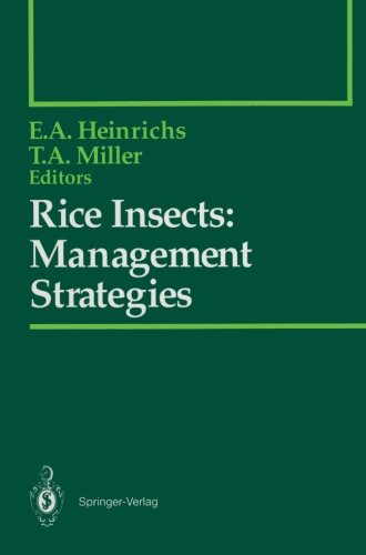 Rice Insects: Management Strategies