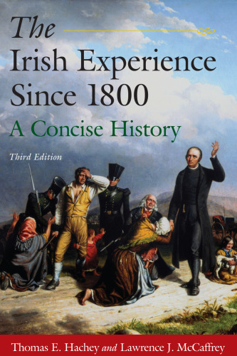 The Irish Experience Since 1800: A Concise History