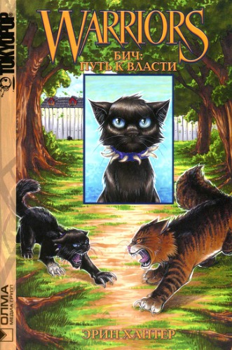 Бич. Путь к власти